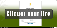 Lire la simulation d'un rapport de synthèse